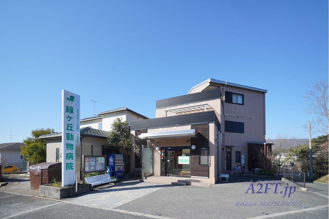 A2FT.jpフォトグラファーまつもとあきらが撮影した写真のアルバム「2021年1月 緑が丘動物病院様」