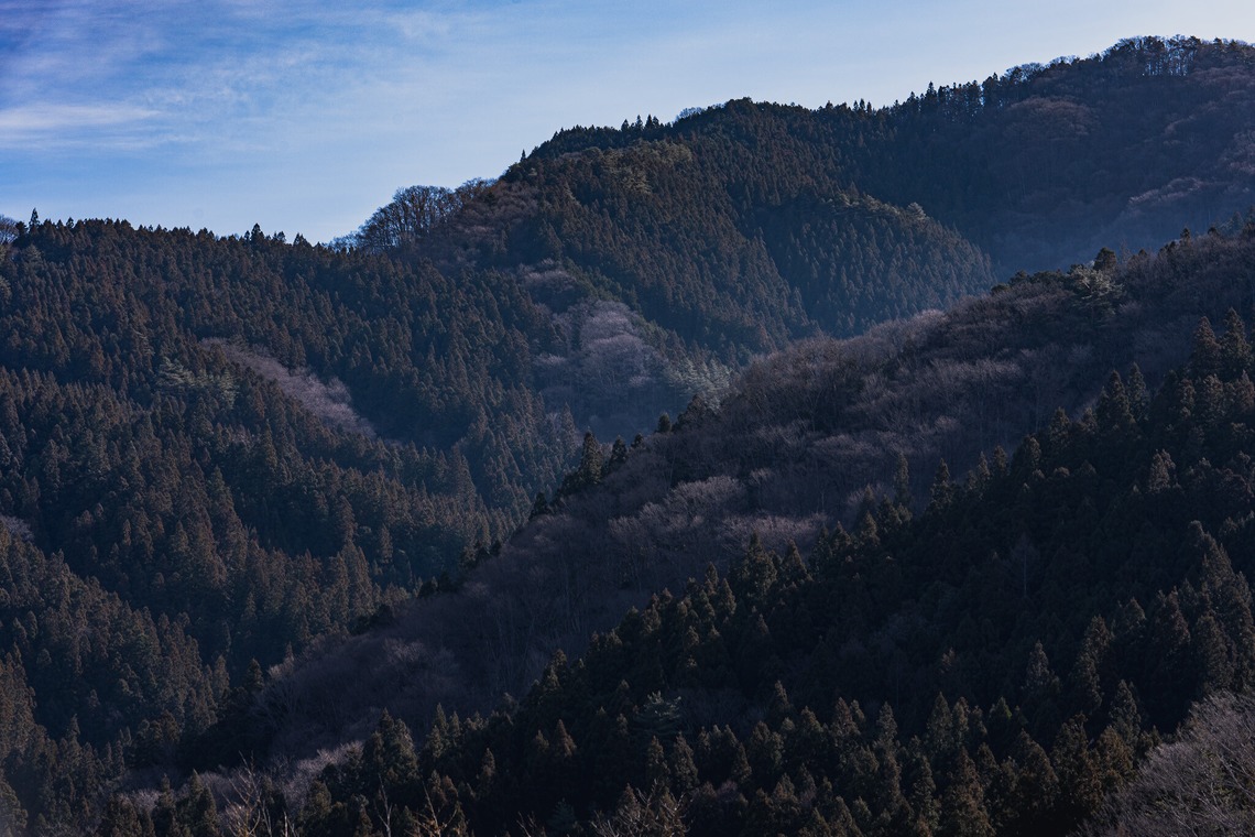 studio9thが撮影した写真のアルバム「群馬県多野郡 / 森林組合の現場作業風景」