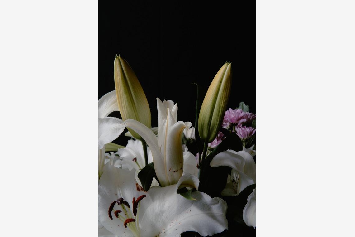 blankが撮影した「商品撮影」の写真