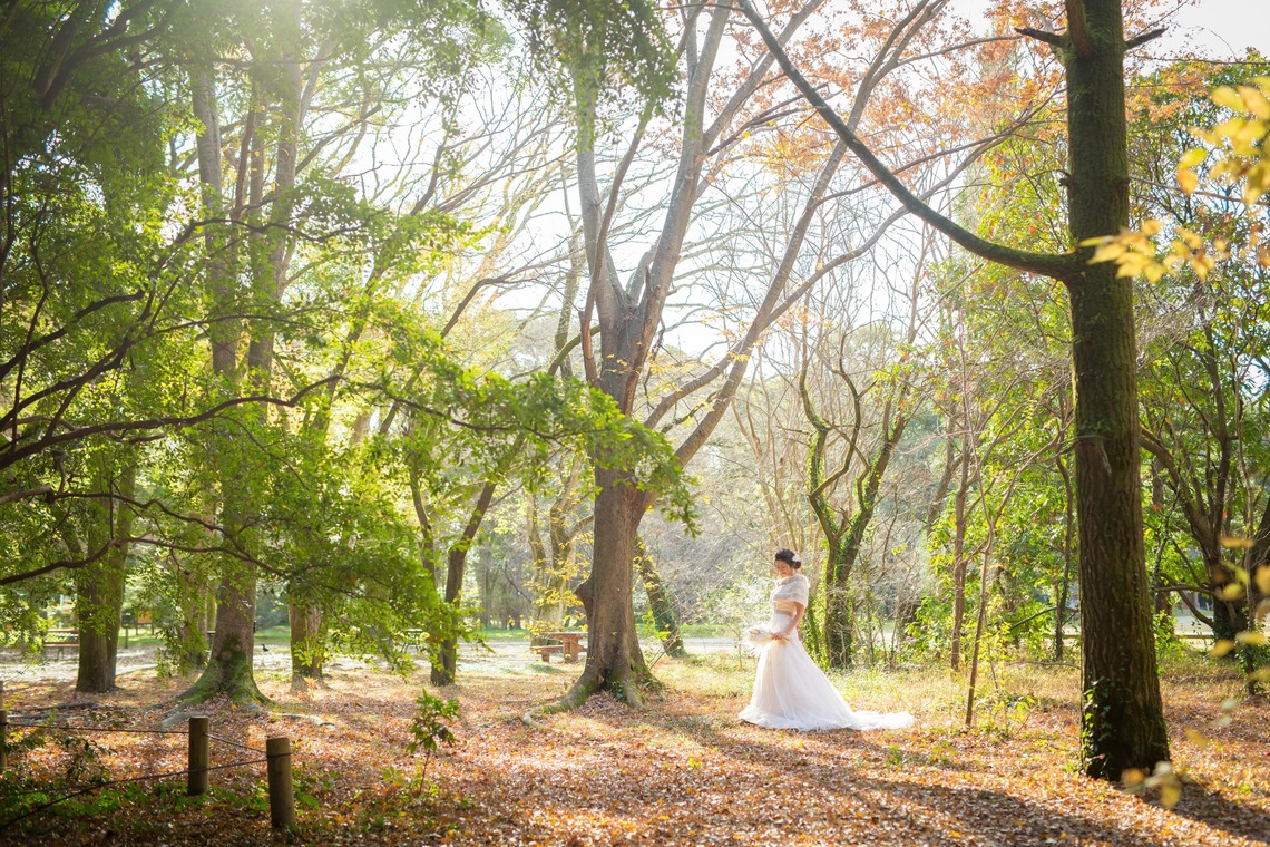 SORAIRO（吉川聖司）が撮影した「京都紅葉ロケーションドレス」の写真