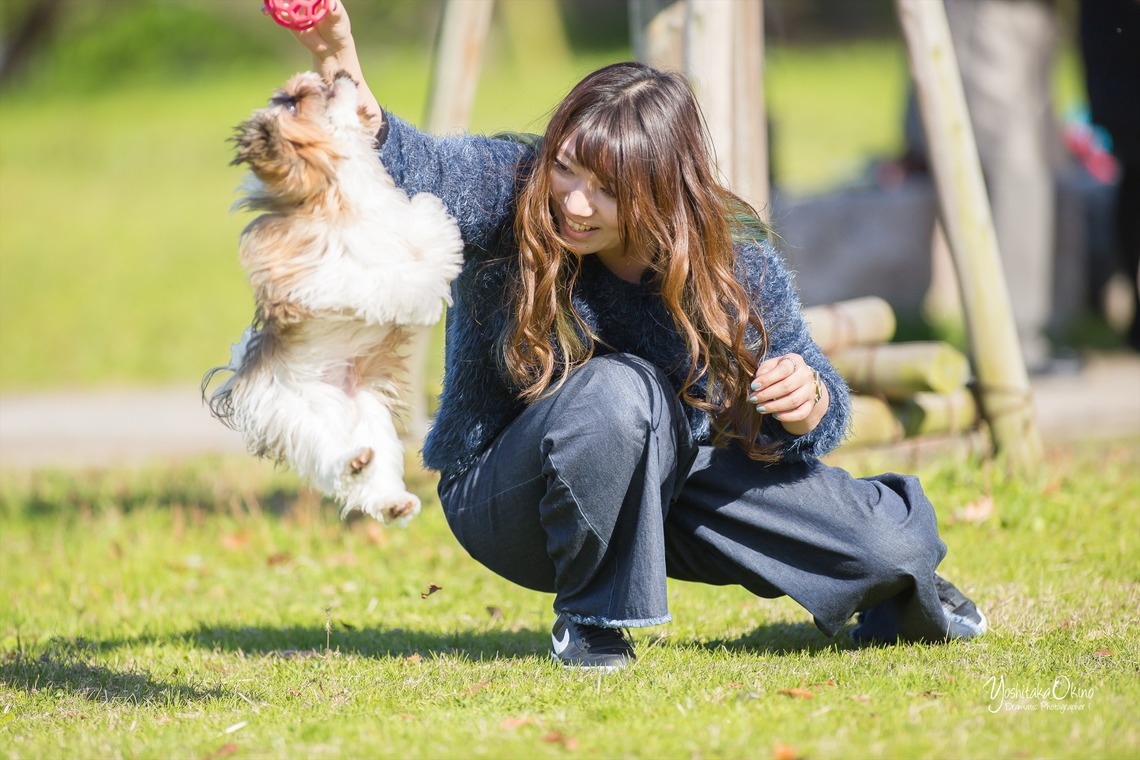 写楽堂が撮影した「ペット」の写真
