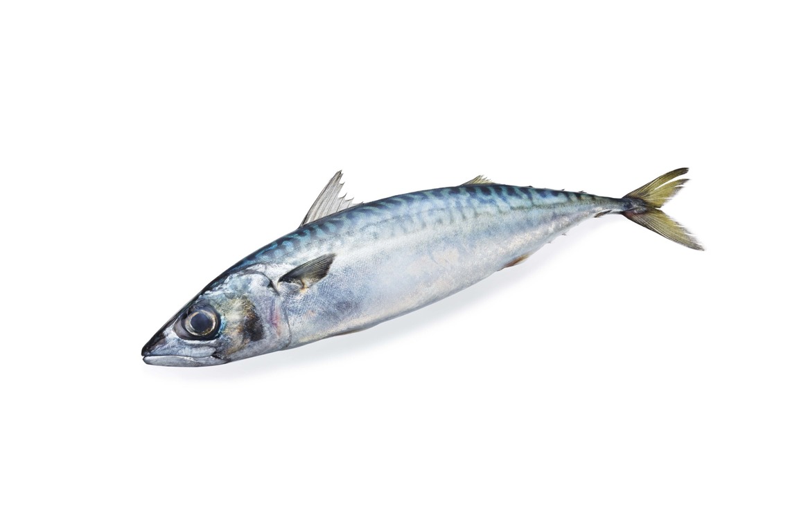 西原毅が撮影した「野菜、他」の写真