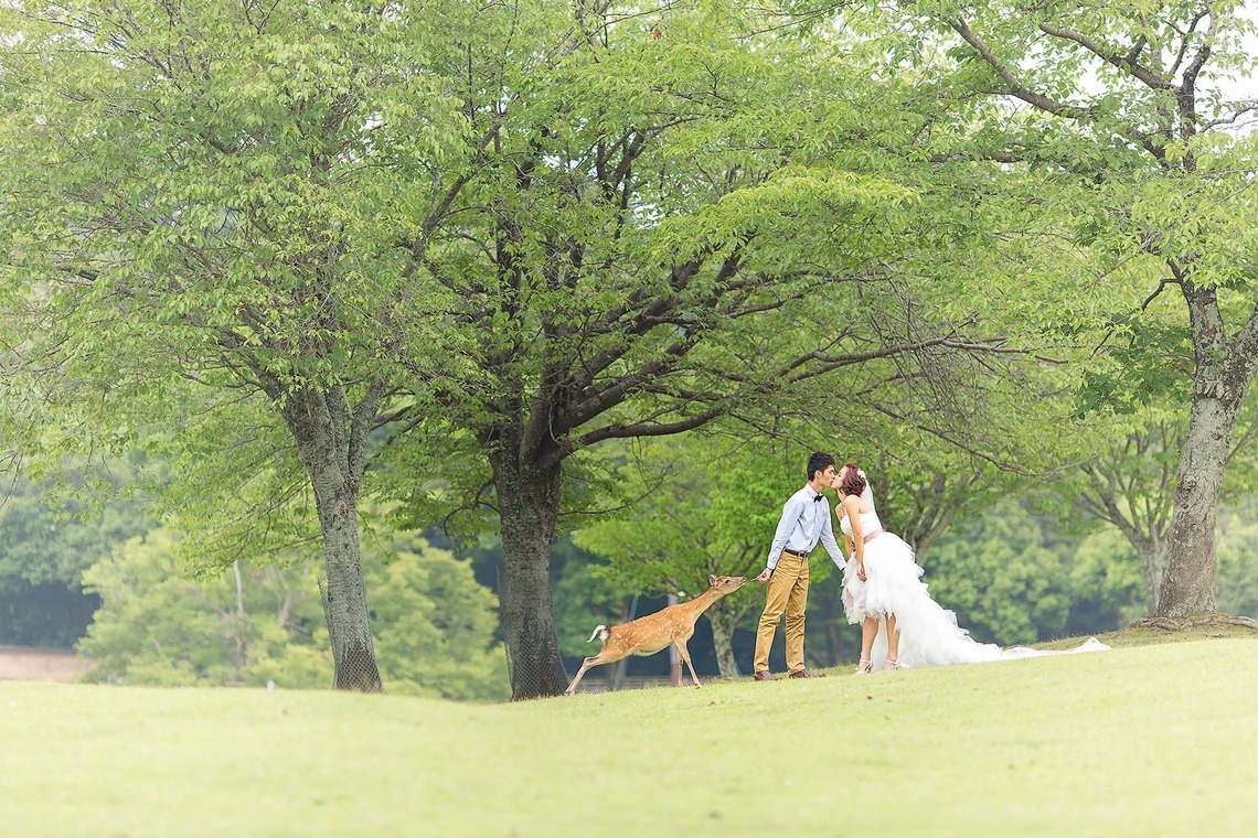 2 of usが撮影した「photo @ Kyoto」の写真