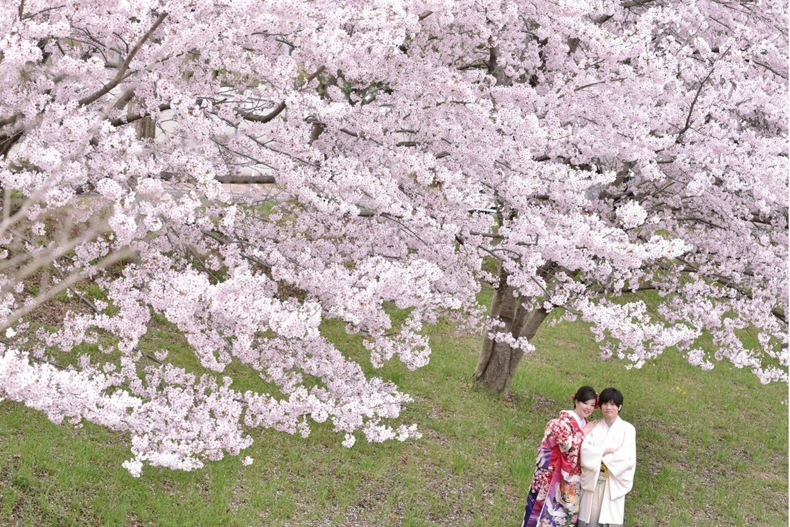キキフォトワークスが撮影した「桜の季節の和装前撮り」の写真