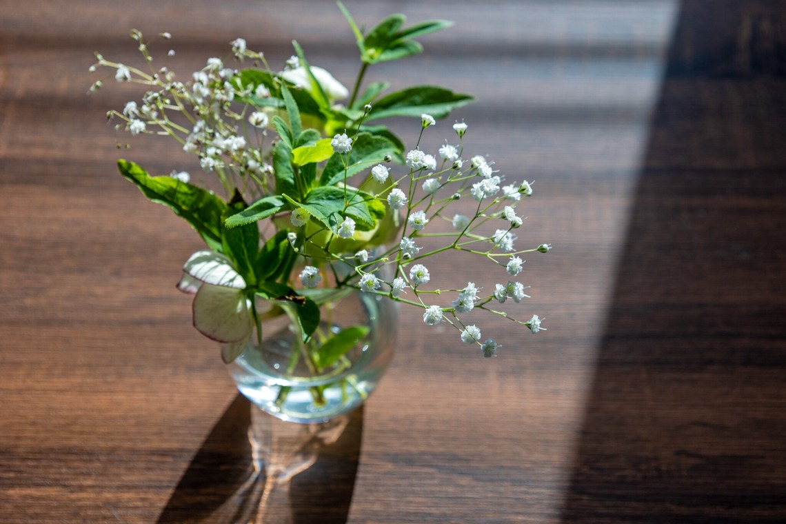 PhotoBaseありよしが撮影した「宣材写真」の写真