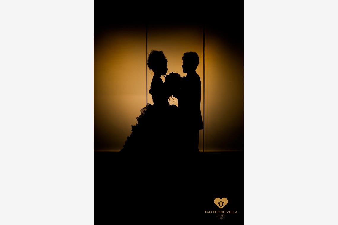 タオトンヴィラ (taothong villa)が撮影した「大阪・岐阜・姫路」の写真