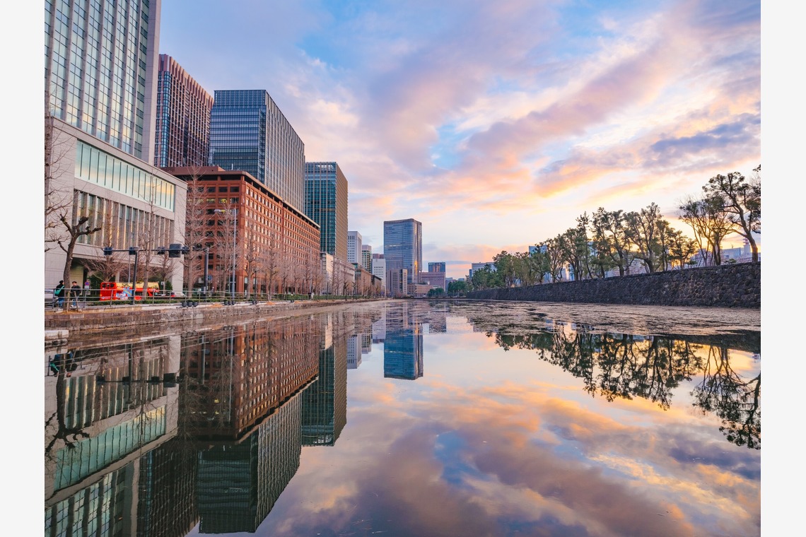 杉本 周平が撮影した「動物・ペット・風景」の写真