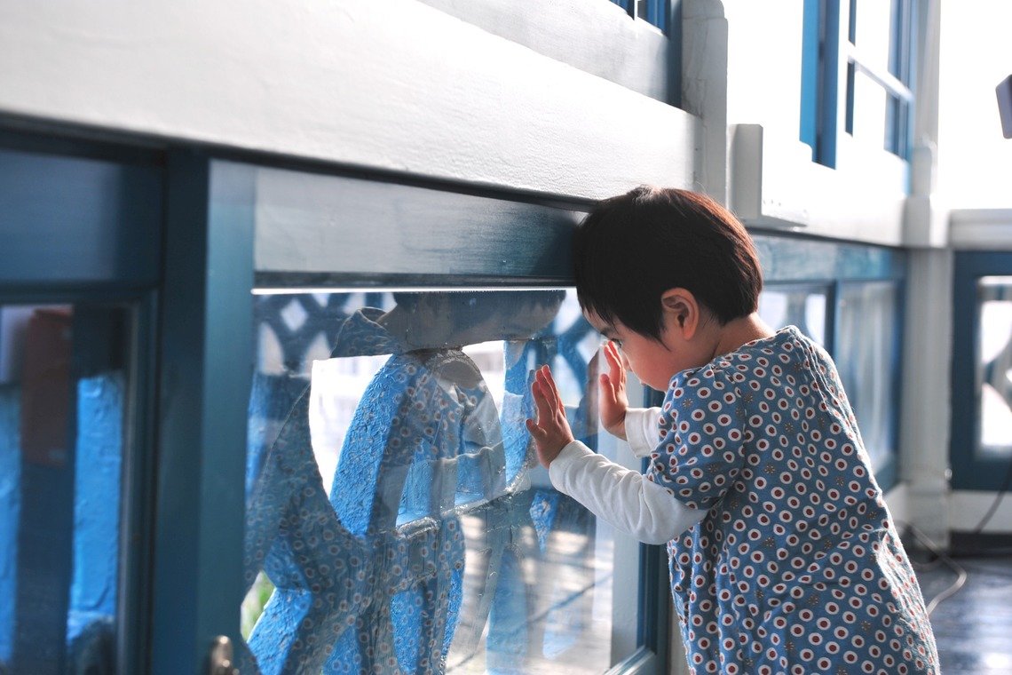 Photo of Guggenheim House taken by Fotocross