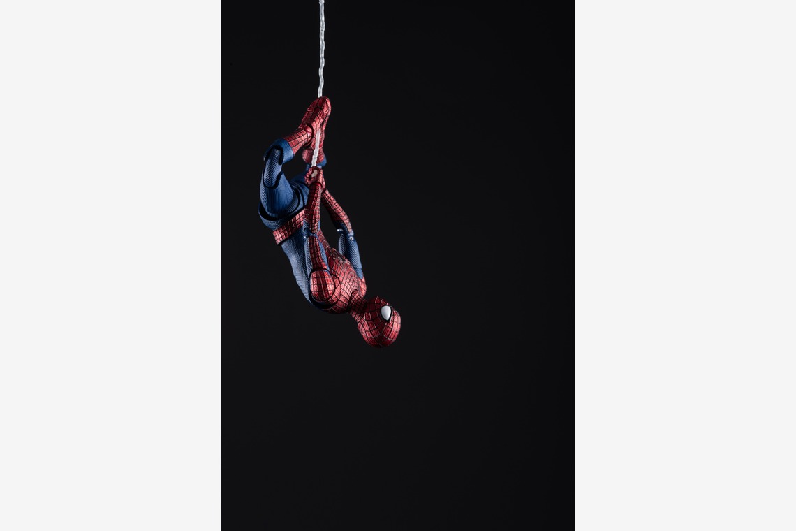 写真屋ごんちゃんが撮影した「figure spider」の写真