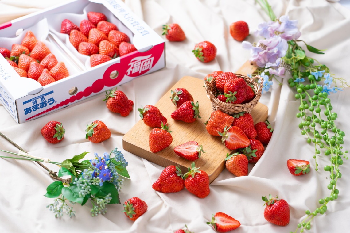 山口　竜が撮影した「商品撮影」の写真