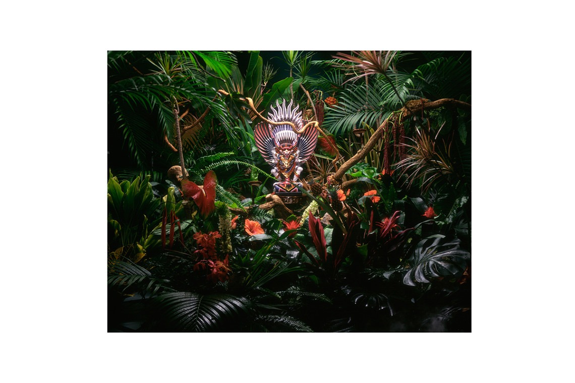 舩津　孝が撮影した「物」の写真