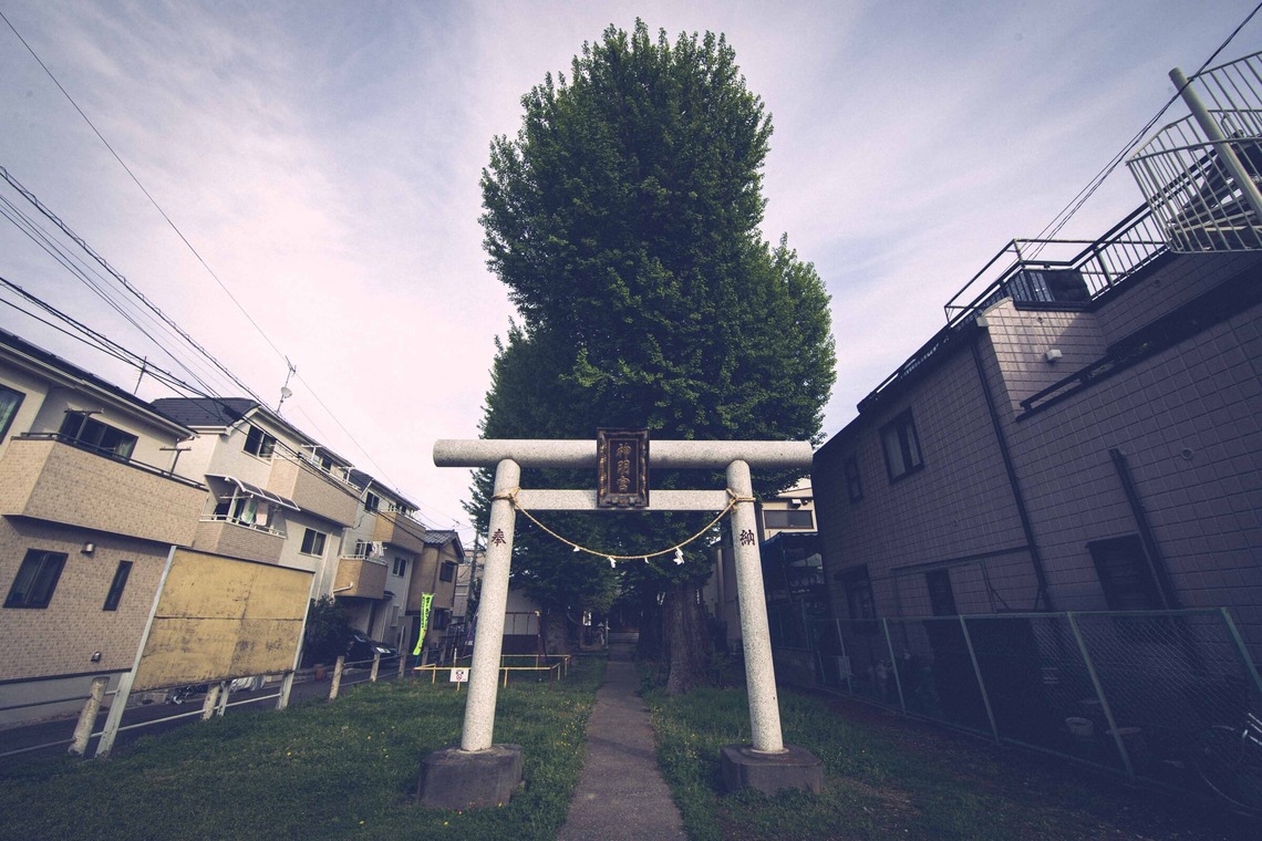 Sunstore 三條康貴が撮影した「風景」の写真