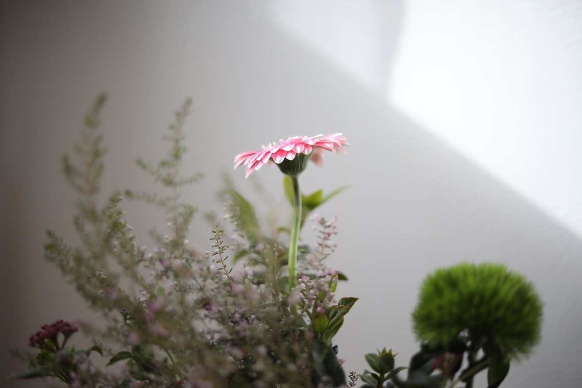 Natsukiが撮影した「花撮影＠自宅」の写真