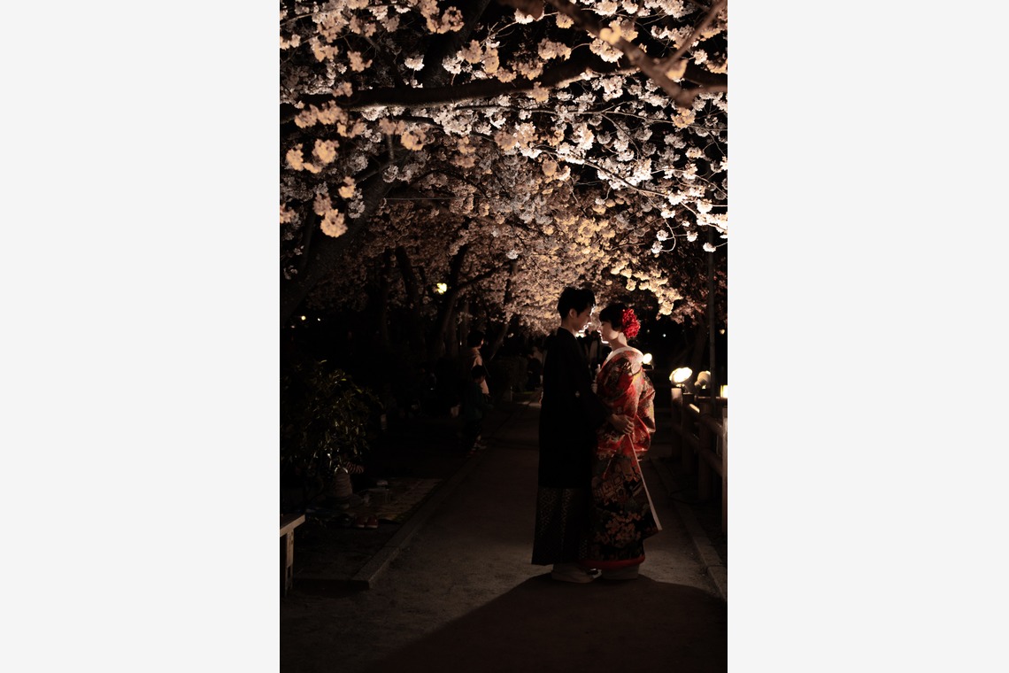 saruco(岩崎寿）が撮影した「京都和装前撮り＠桜」の写真