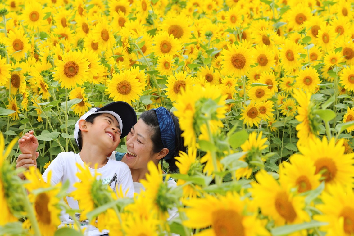 稲蔭一道が出張撮影した家族写真(キッズ,ベビーフォト)などが写った「家族写真、ロケーションフォト」の家族写真