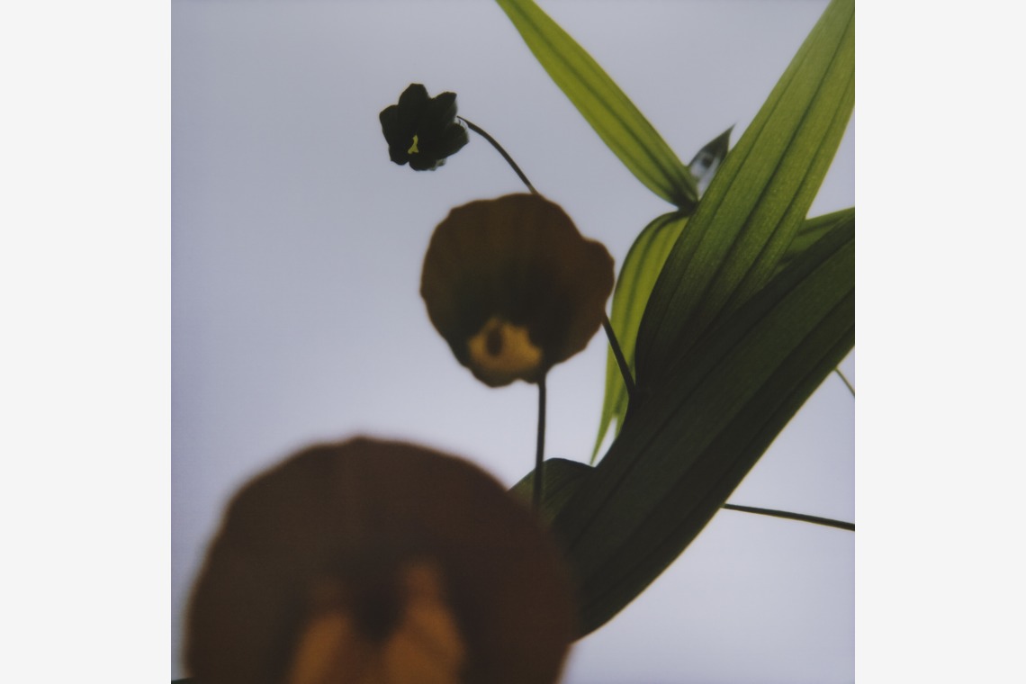 岡村公平が撮影した写真のアルバム「物撮り」