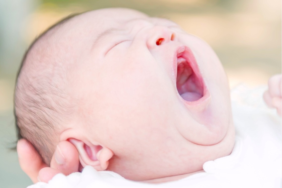 Acornが撮影した写真のアルバム「お宮参り」