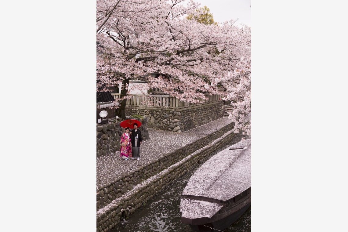 STUDIO NOUVEAU（スタジオ ヌーボ）が撮影した「ロケーションフォト_京都・岐阜」の写真