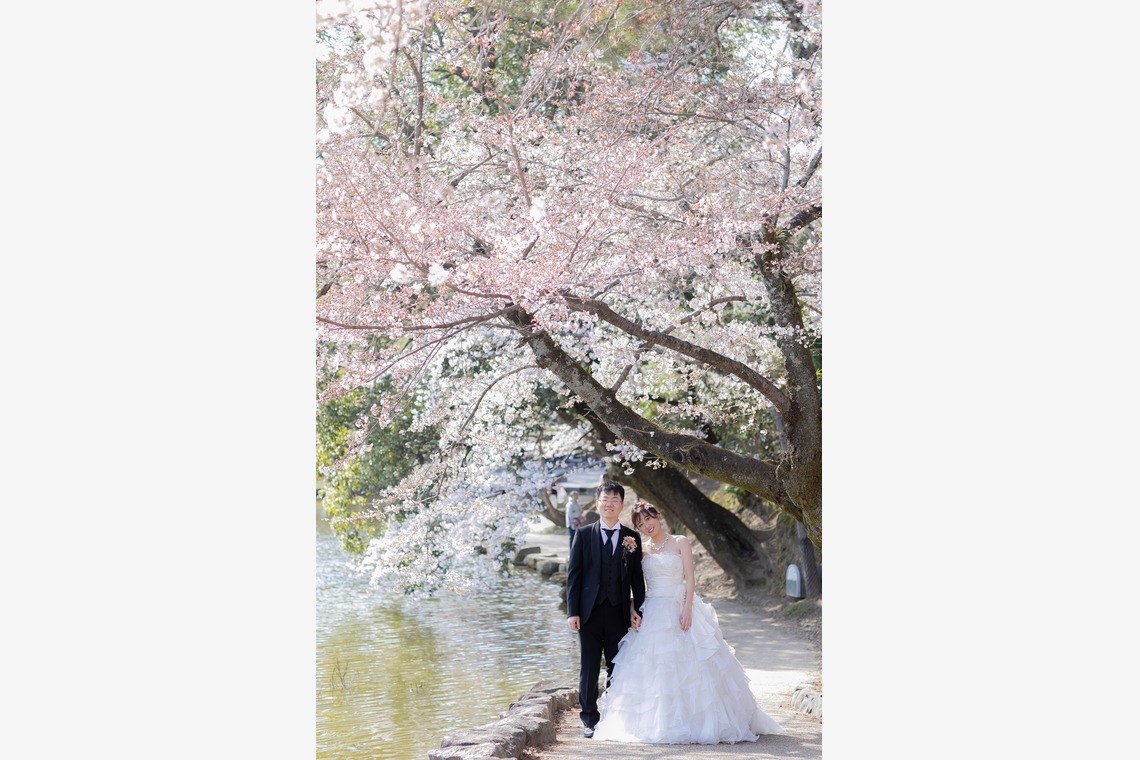 Album of the Location Photo Shoot taken by 今西健二 - Pre-shooting location shooting