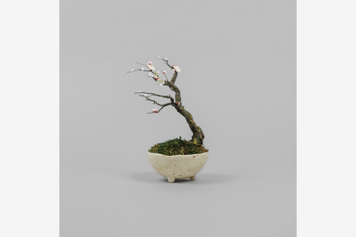 studio9thが撮影した写真のアルバム「埼玉県川越市/革盆栽」