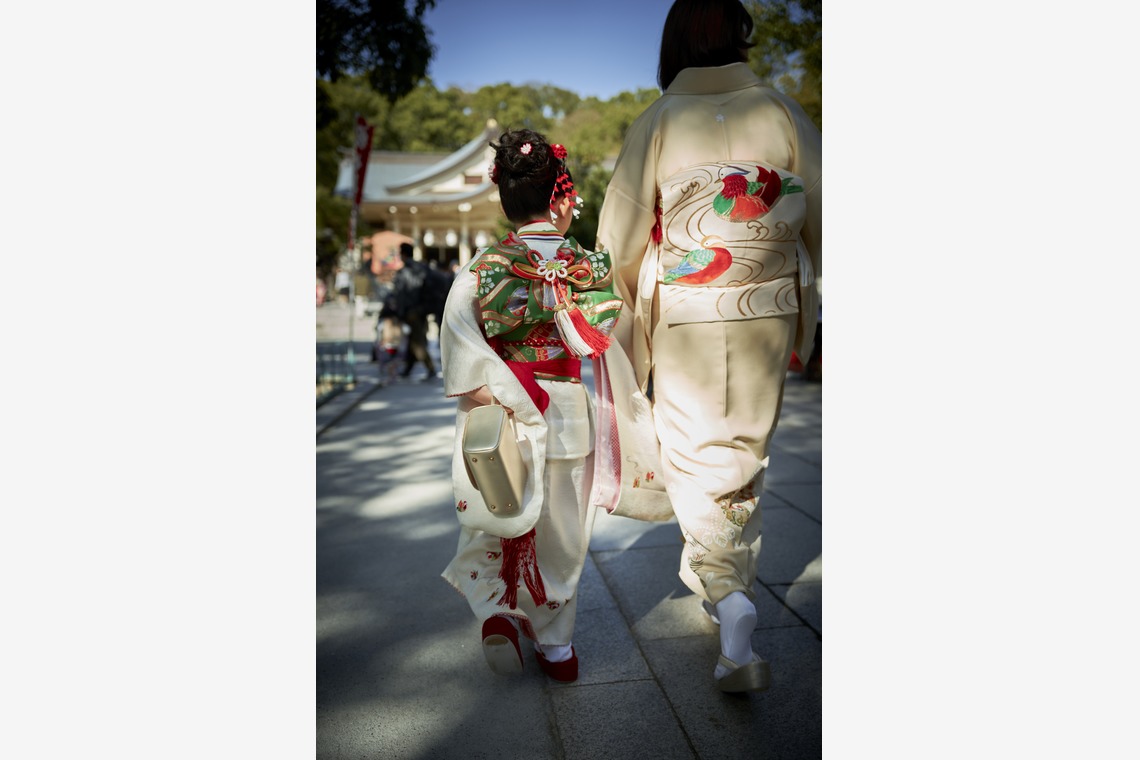 竹中 雅樹が撮影した「ポートフォリオ」の写真