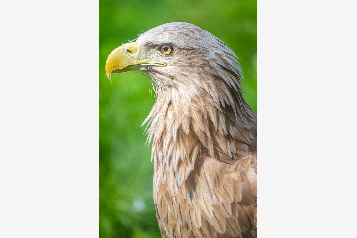 高木勇斗が撮影した写真のアルバム「風景」