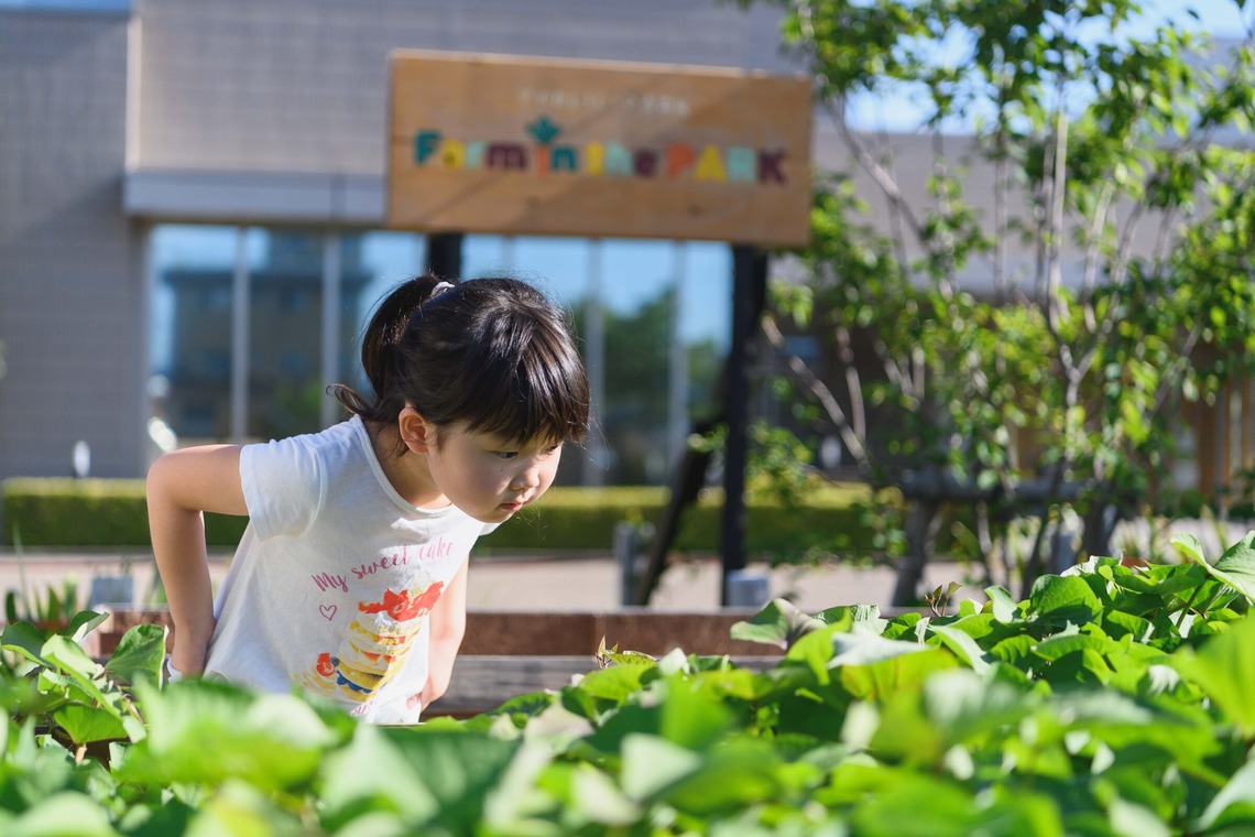 北野隼人が撮影した写真のアルバム「キッズフォト02」
