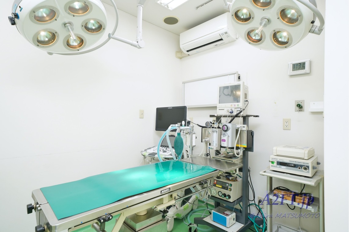 A2FT.jpフォトグラファーまつもとあきらが撮影した「2021年1月 緑が丘動物病院様」の写真