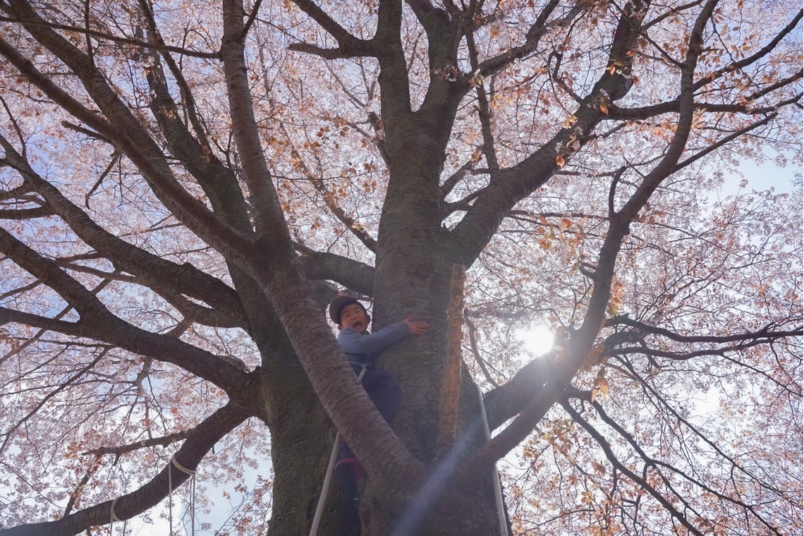 阿久津真理恵が撮影した「自然学校プログラムでの人物撮影（静岡県伊豆市）」の写真