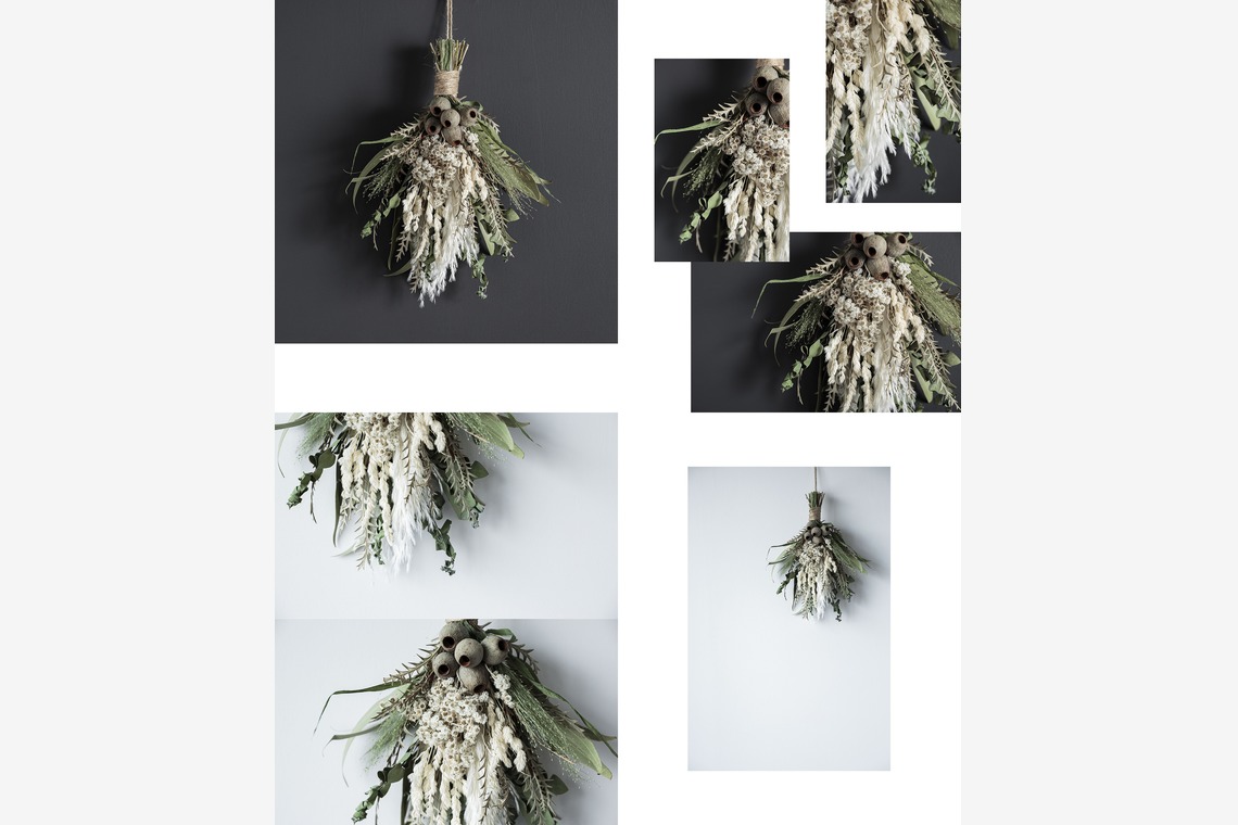 吉田寿仁が撮影した写真のアルバム「植物撮影」