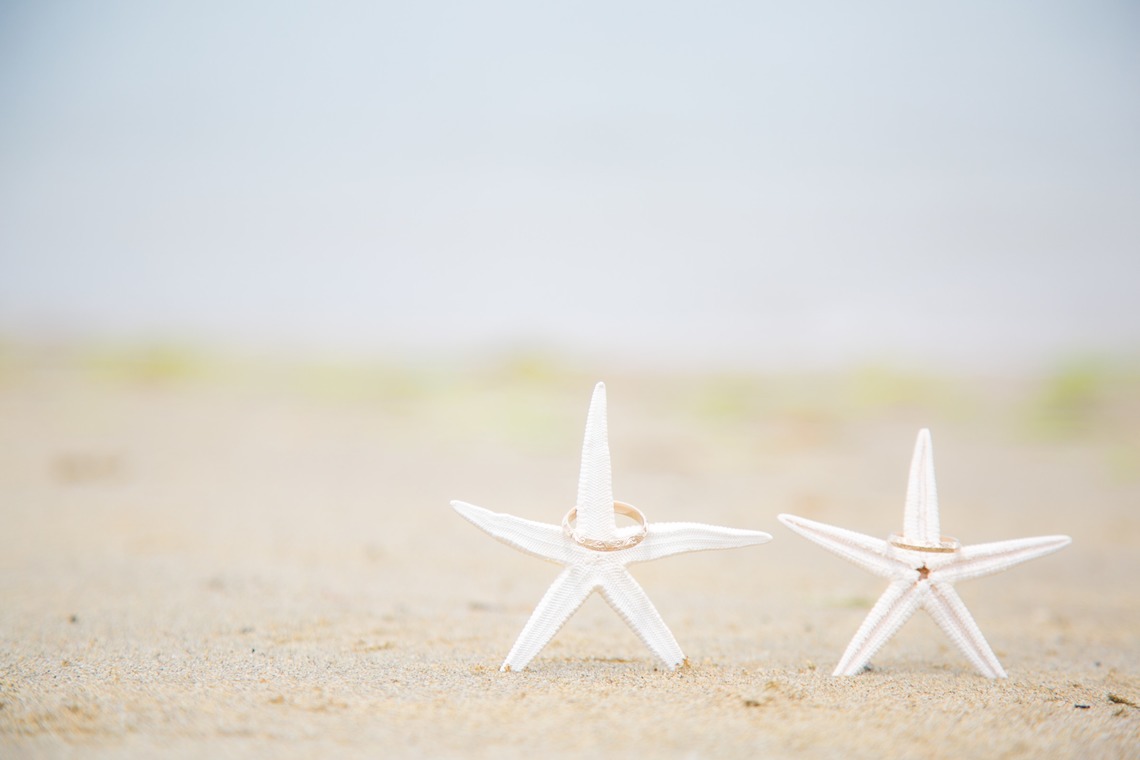 Album of the Wedding, Bridal taken by Studio LDK - 挙式当日写真