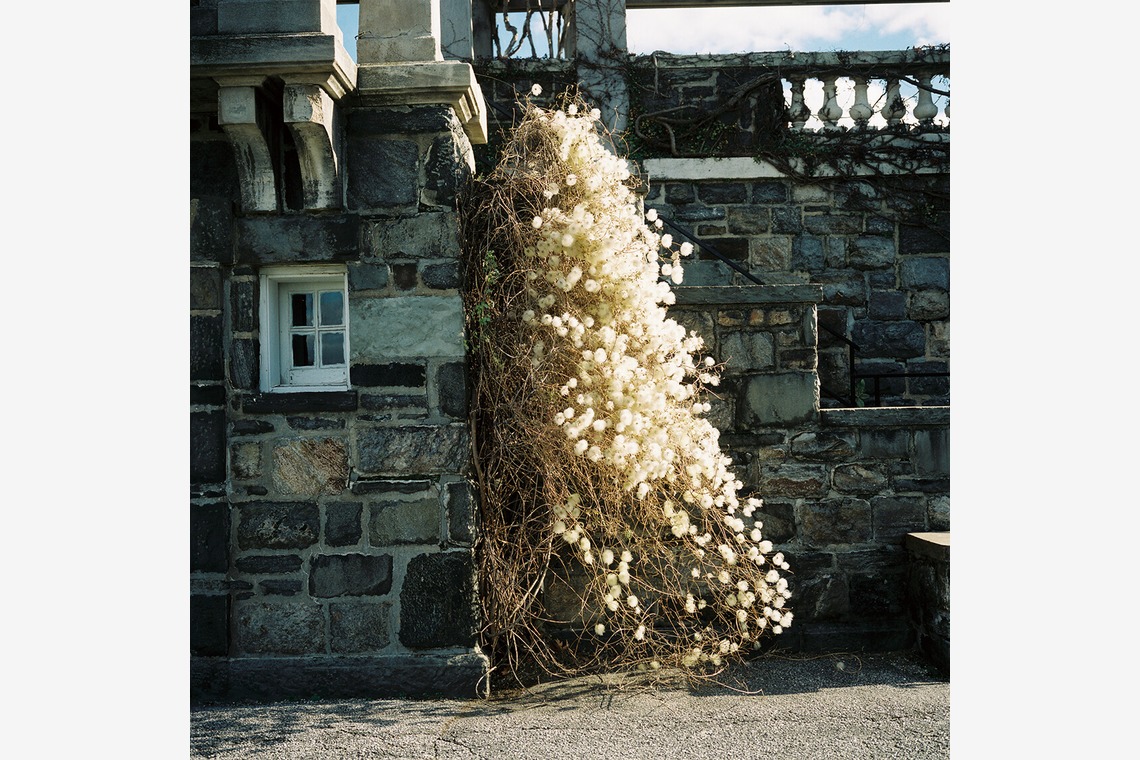 森田寫眞館が撮影した写真のアルバム「N.Y」