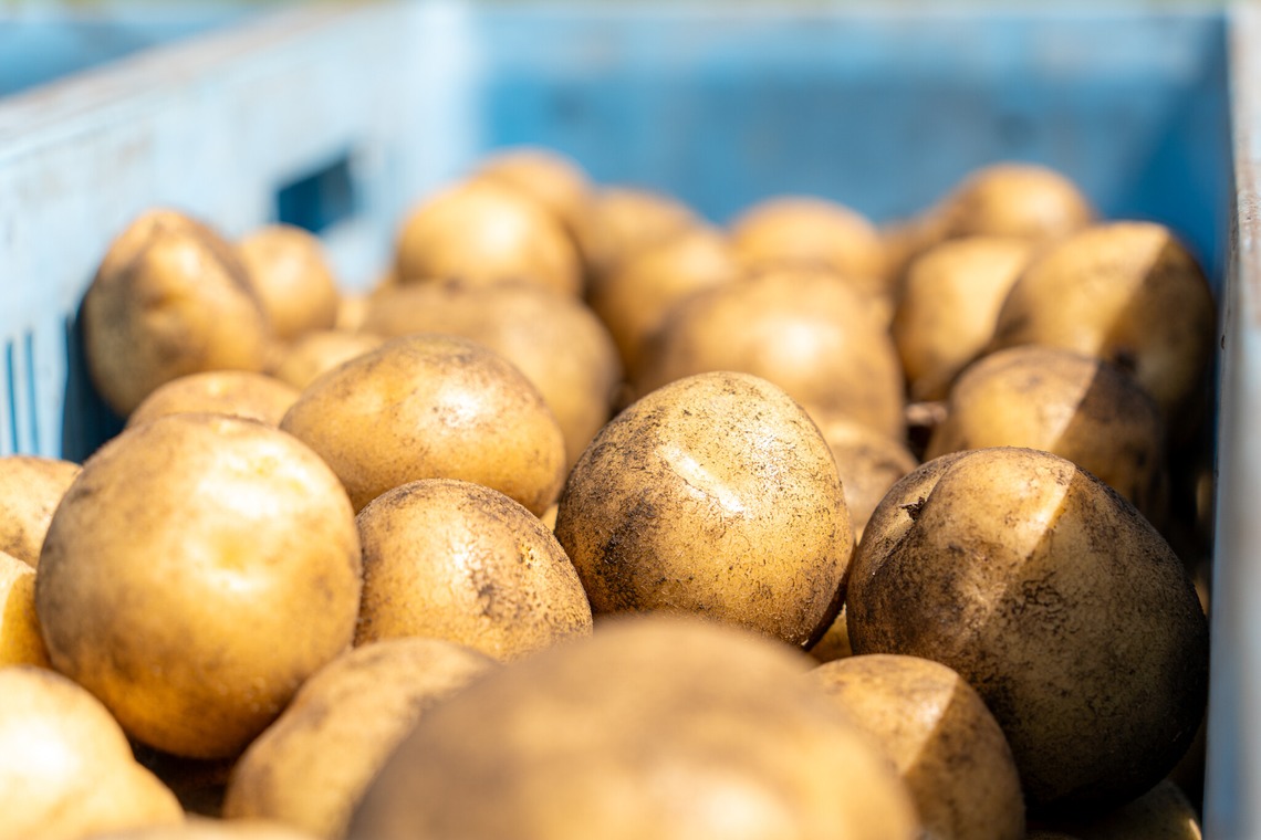 石橋宙大が撮影した写真のアルバム「農家さん撮影」