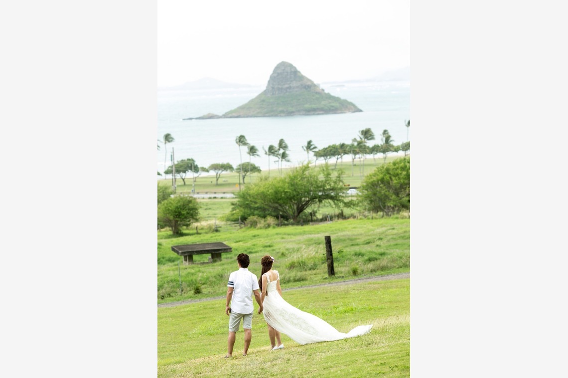 2cconcept (梅田福夫)が撮影した「フォトギャラリー」の写真