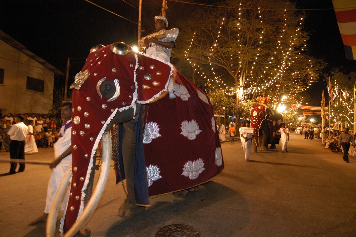 梶田　誠が撮影した写真のアルバム「スリランカ　ペラヘラ祭り」