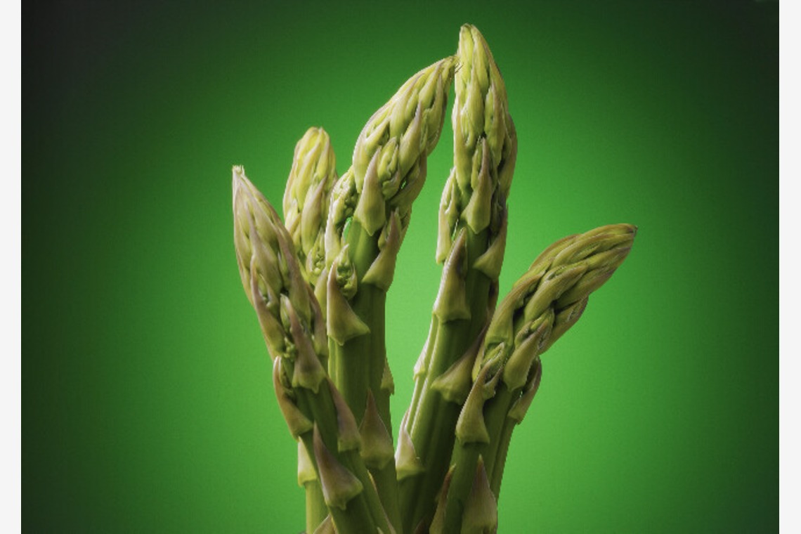 AONO STUDIOが撮影した写真のアルバム「料理」