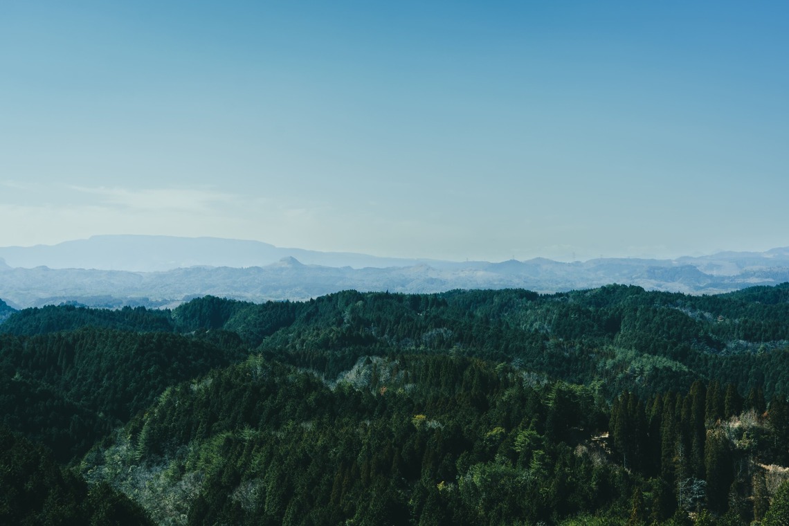 studio cactusが撮影した写真のアルバム「農家 - 風景／商品／人物」