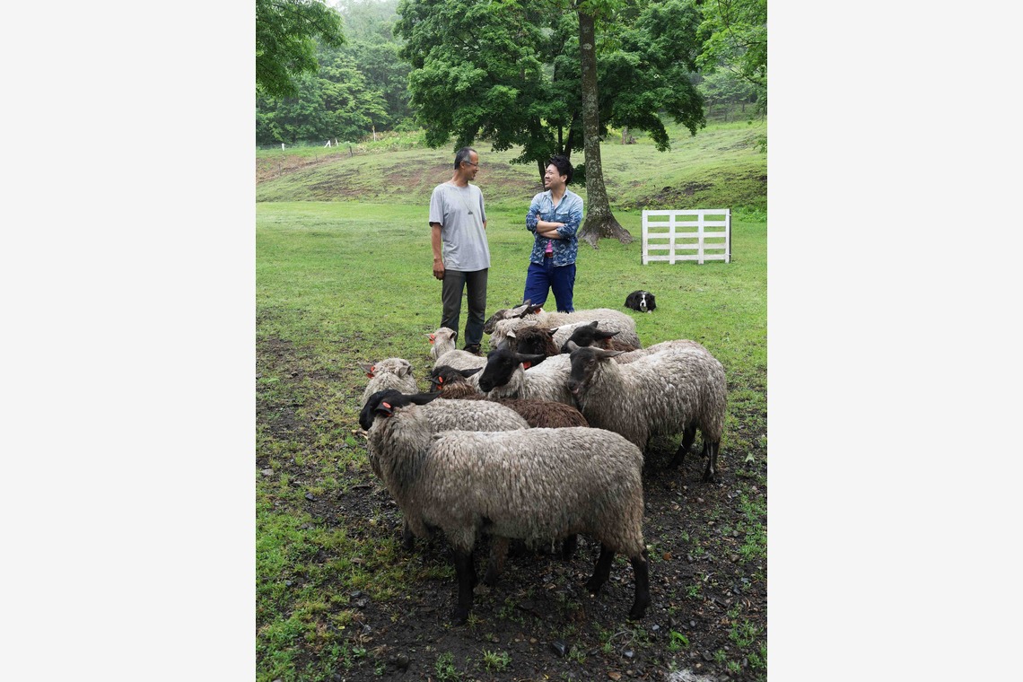 株式会社DAVINCI-Developmentが撮影した「ビジネスポートフォリオ」の写真