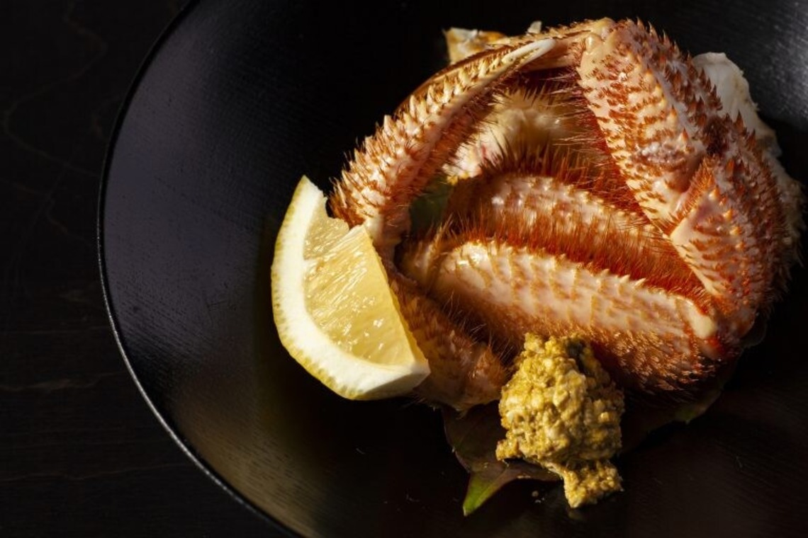 スポルトマティック合同会社が撮影した「サコカメラ」の写真