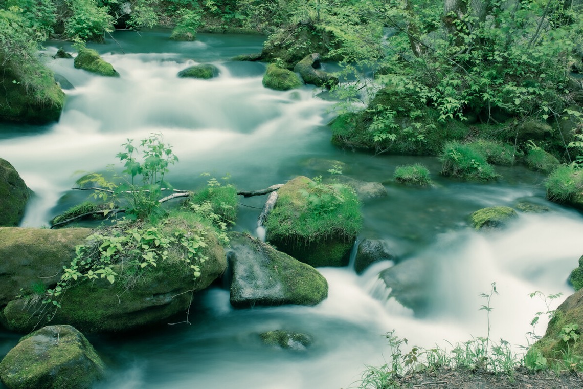 Create 4 Uが撮影した写真のアルバム「各種撮影」