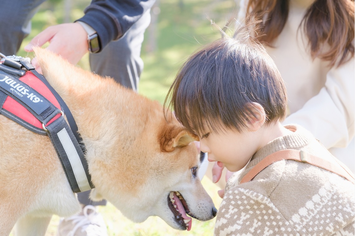 高夏写真店が撮影した「家族写真の撮影」の写真