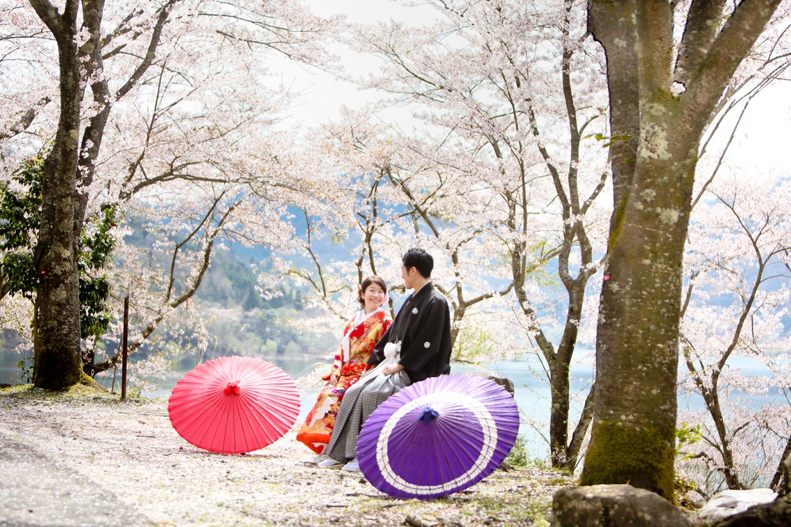 KIKIウェディングが撮影した写真のアルバム「ピンクの桜」