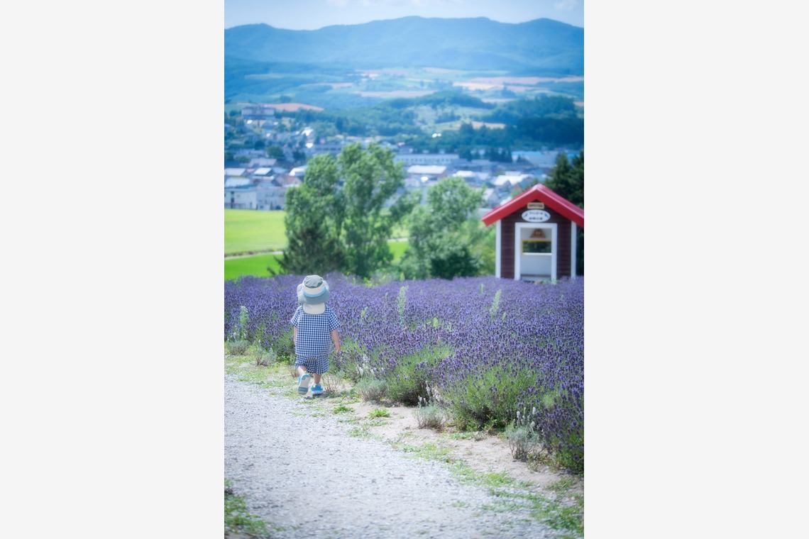 北海道ロケーションフォトウェディング♪が撮影した「富良野ラベンダー畑でファミリー旅行記念撮影」の写真