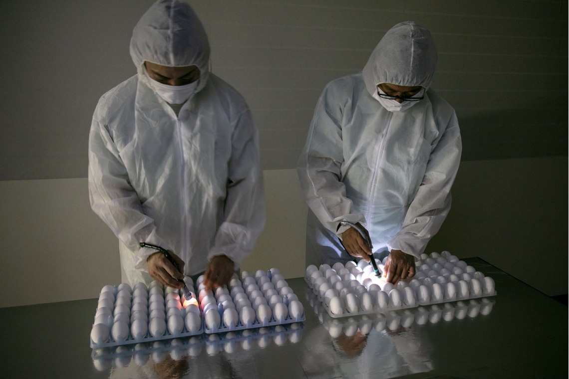 Creative Brand　Crows Nestが撮影した「ビジネス系撮影」の写真