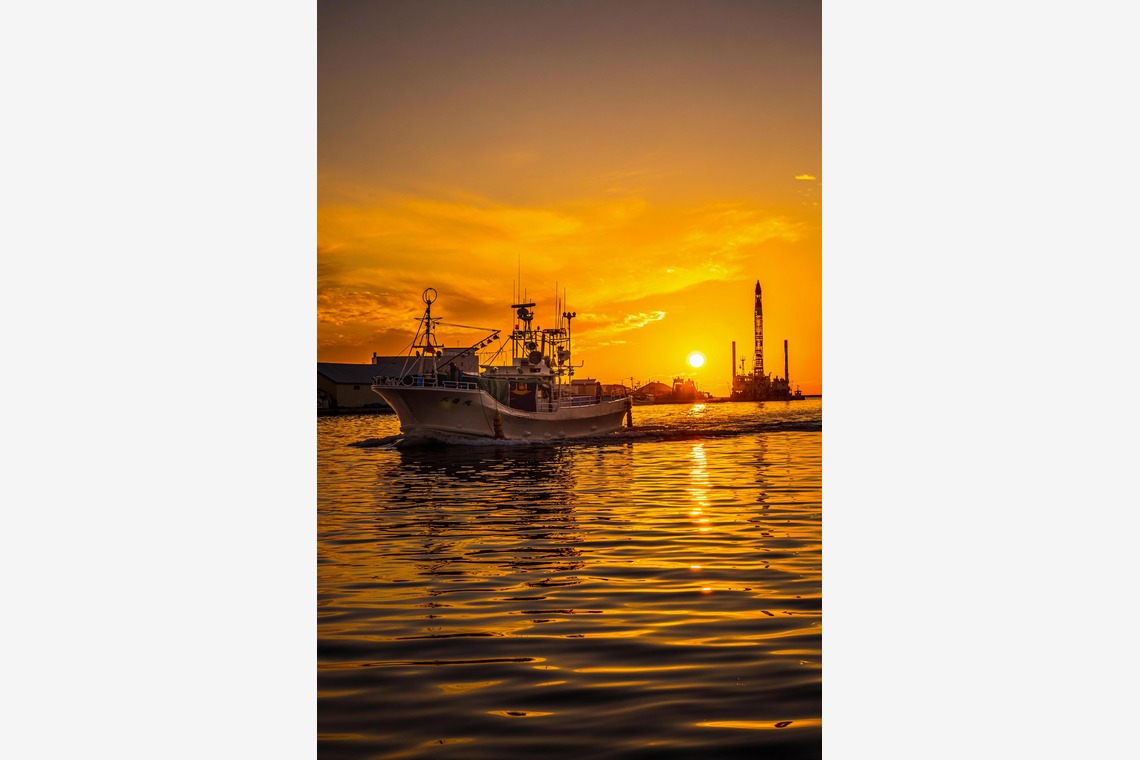 高木勇斗が撮影した「風景」の写真