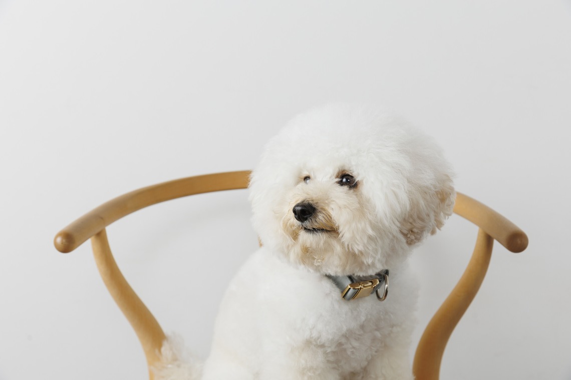 minephoto/大峯写真事務所が撮影した「ポートフォリオ」の写真