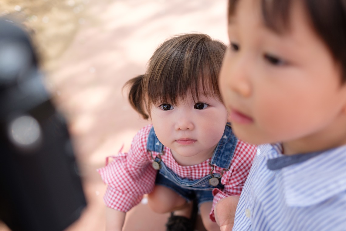高野和希が撮影した「桜での家族フォト」の写真