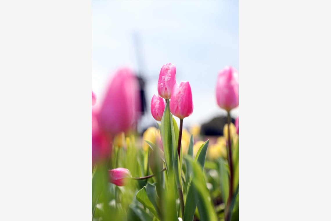 Photo of  taken by ヒロノリ