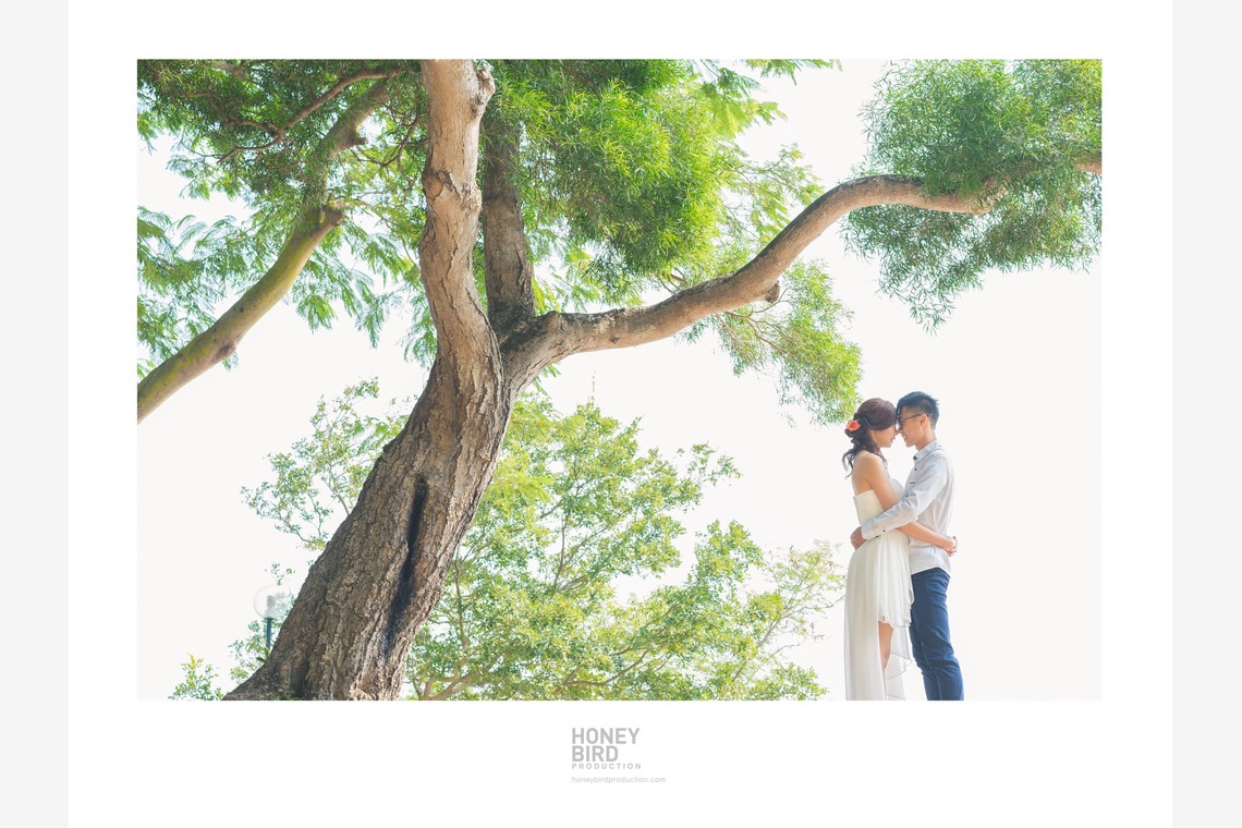 Photo of  taken by Honeybird Production Wedding Photography