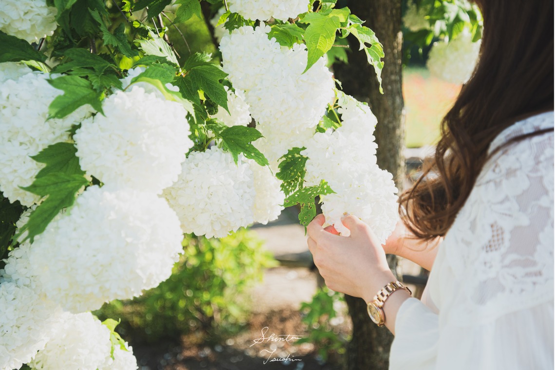 Shintaro Tsushimaが撮影した「ポートレート・人物」の写真